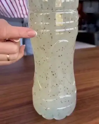 Kuidas porgandeid külvata, et neid hiljem mitte rebida: nutikas eluhäkk