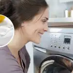 Eemaldab katlakivi, hallituse ja ebameeldivad lõhnad: kui palju sidrunhapet tuleks