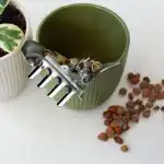 Eksperdid on ümber lükanud populaarse müüdi: poti põhjas olevad kivid