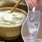 Kuidas eristada minutiga looduslikku hapukoort võltsist: mida otsida