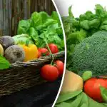 Kuidas mitte kaotada oma saaki: aednikud hoiatasid seemnetest istutamise eest