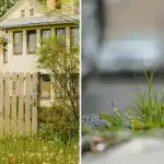 Kuidas umbrohtu aia ääres kasta: need kaovad järgmisel päeval