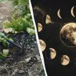 Nendel päevadel aprillis peaksite aia unustama: kuu täpne külvikalender