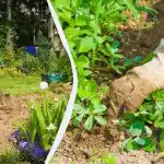 Nii on peenarde rohimine 2 korda lihtsam ja kiirem: umbrohtu