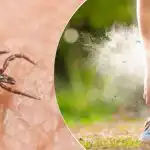 Puugid ei talu neid: milliseid taimi tuleks aprillis kaitseks istutada