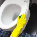 WC-potilt tuli lihtsalt aastaid plaaster: isetehtud 3 aine segu aitas